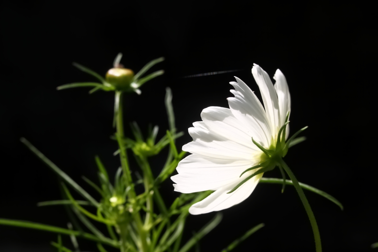 2015 08 10 HTP 1340
